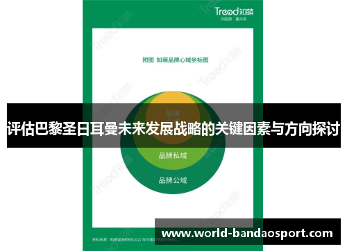 评估巴黎圣日耳曼未来发展战略的关键因素与方向探讨