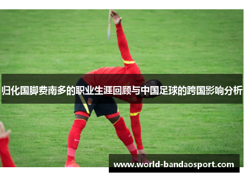 归化国脚费南多的职业生涯回顾与中国足球的跨国影响分析