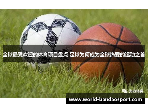 全球最受欢迎的体育项目盘点 足球为何成为全球热爱的运动之首