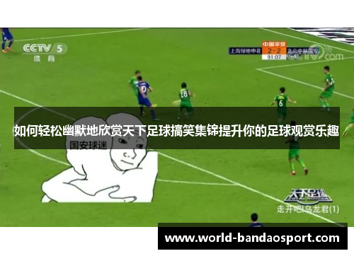 如何轻松幽默地欣赏天下足球搞笑集锦提升你的足球观赏乐趣
