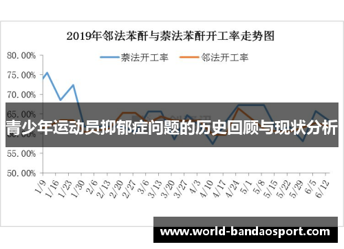 青少年运动员抑郁症问题的历史回顾与现状分析