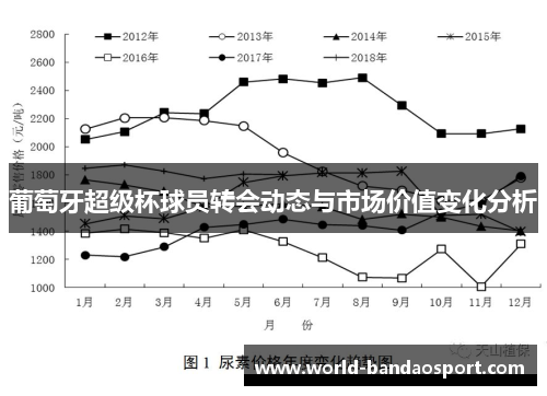 葡萄牙超级杯球员转会动态与市场价值变化分析