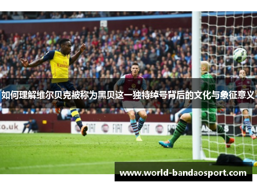 如何理解维尔贝克被称为黑贝这一独特绰号背后的文化与象征意义